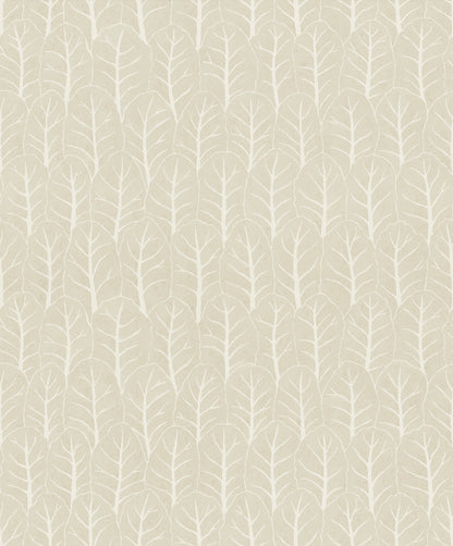 Coleslaw Oatmeal - 02-21