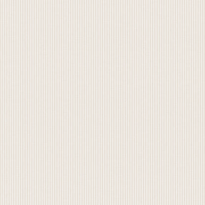 Rand Sandstone - S10288