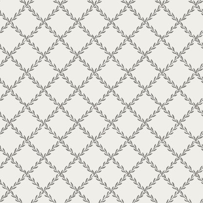 Trellis Graphite - S10306