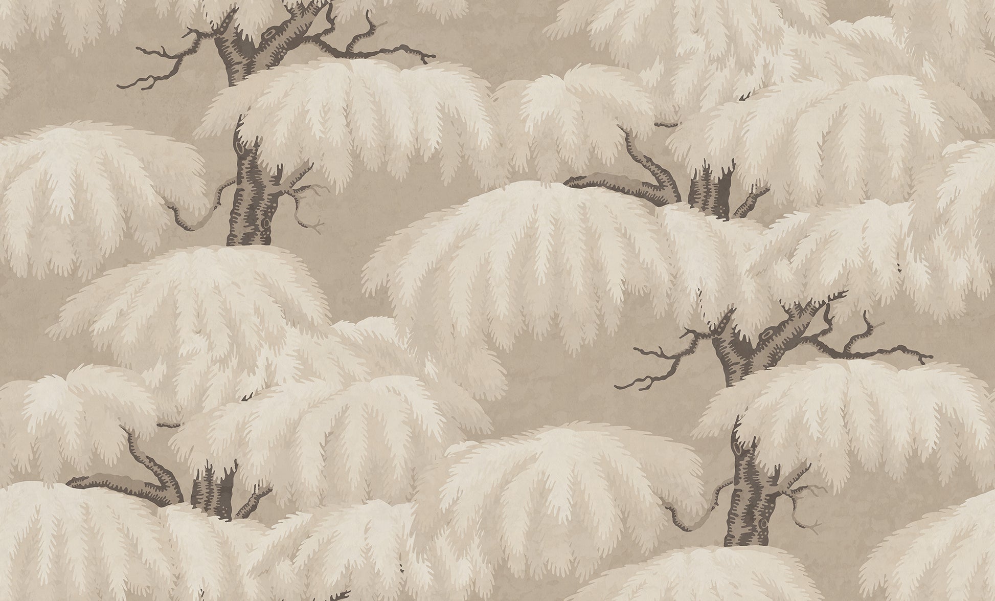 With its magnificent crown, the Lebanese Cedar wallpaper embraces Southern European valleys and mountain slopes with its plumes.