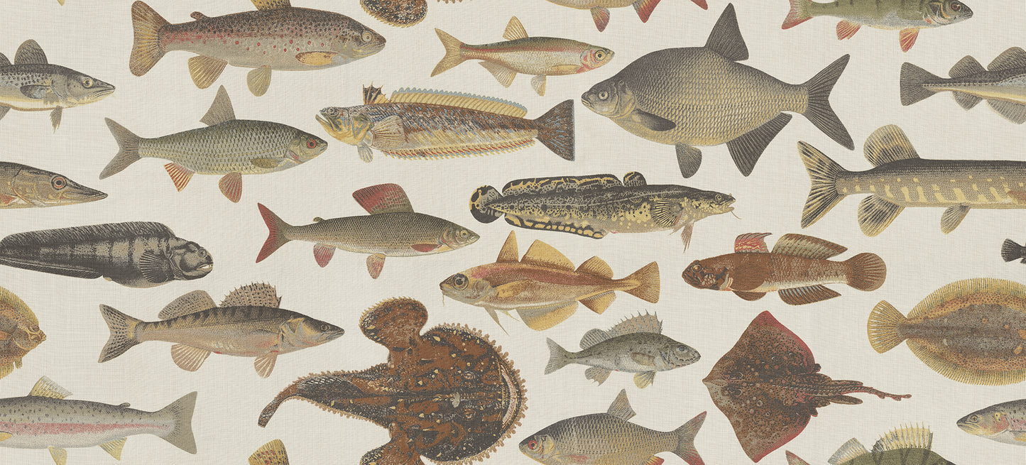 The illustrations for this fish wallpaper mural come from the work “Skandinaviska fiskar” (Scandinavian Fish) by Wilhelm von Wright, a Finnish illustrator active in the mid-19th century