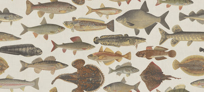 The illustrations for this fish wallpaper mural come from the work “Skandinaviska fiskar” (Scandinavian Fish) by Wilhelm von Wright, a Finnish illustrator active in the mid-19th century