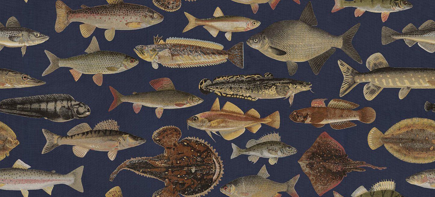 The illustrations for this fish wallpaper mural come from the work “Skandinaviska fiskar” (Scandinavian Fish) by Wilhelm von Wright, a Finnish illustrator active in the mid-19th century