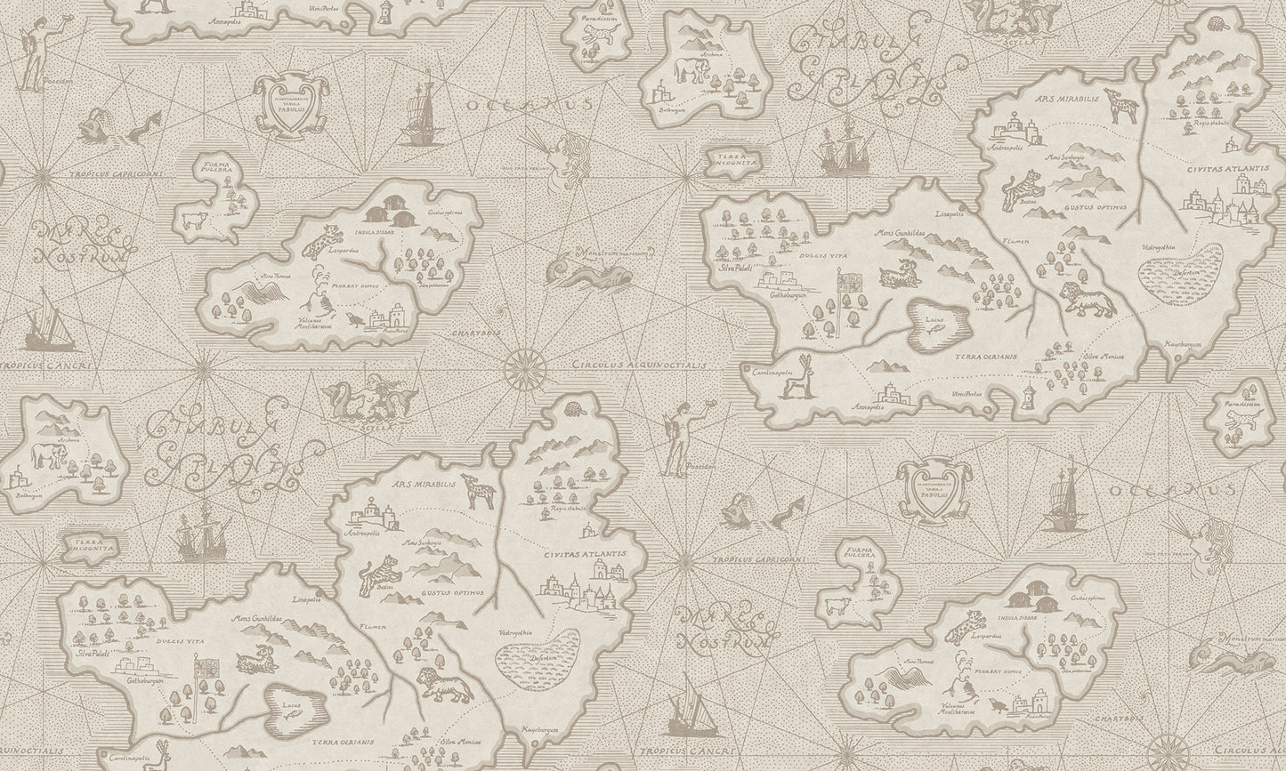 Ferdinand is Sandberg's own map mural wallpaper in Latin, with Atlantis as the model.