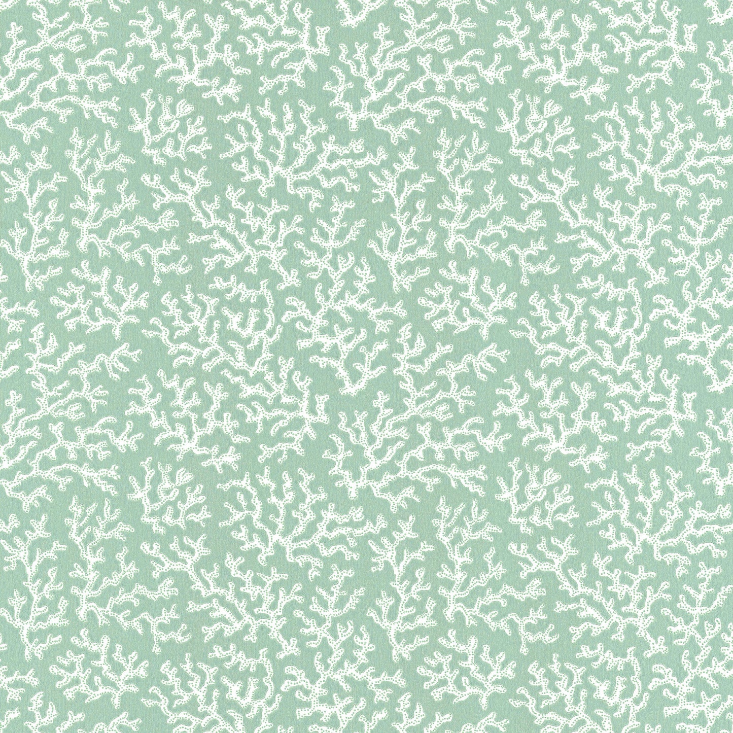 Coral Aqua - 39-55
