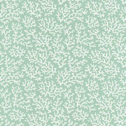 Coral Aqua - 39-55