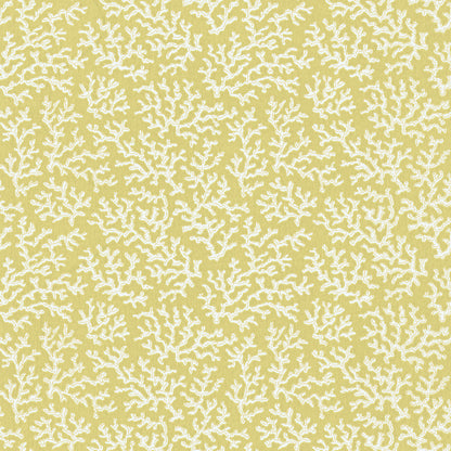 Coral Dusky Lemon - 39-57