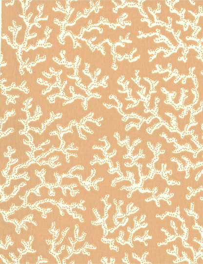 Coral Peach - 39-58