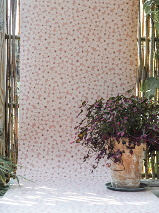 The oxalis forms a shower of flowers in this wallpaper design.