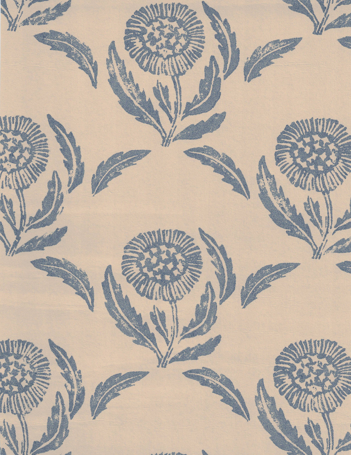 Daisy Denim - 36-54