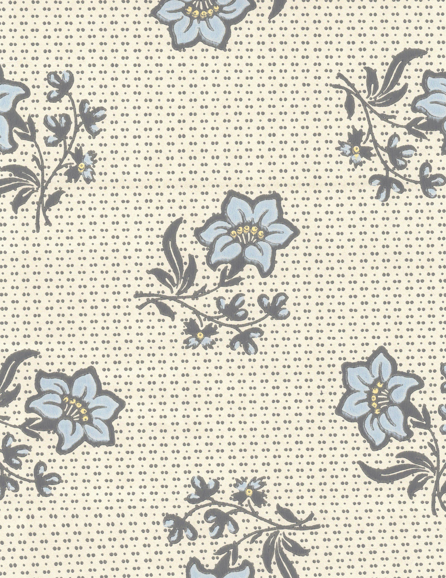 Edelweiss Pearl Blue - 26-21