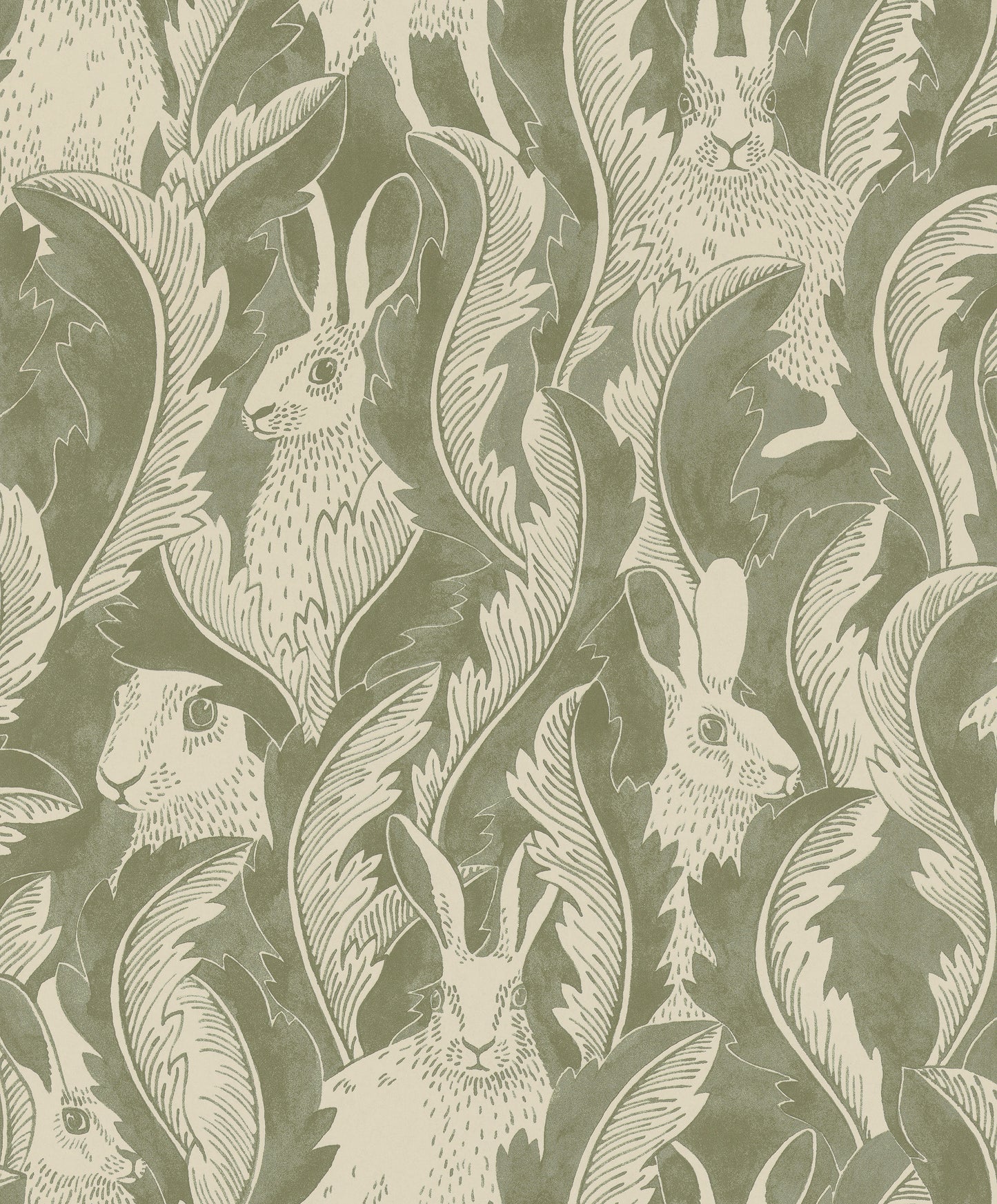 Hares In Hiding Aloe - 03-75