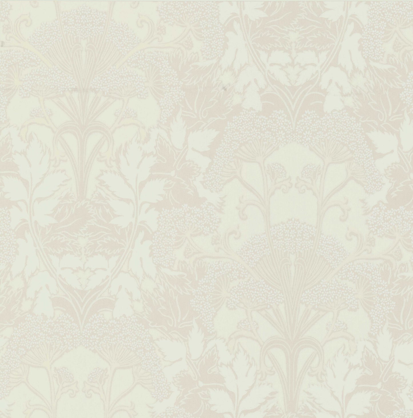 Hundkex, Beige - 350-01