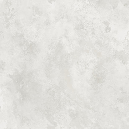 Rost Sandstone - S10103