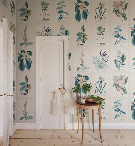  Now on wallpaper - Hand-colored botanical sheets illustrated by Georg Ehret from the book Plantae Selectae, one of the greatest botanical works from 1773. 