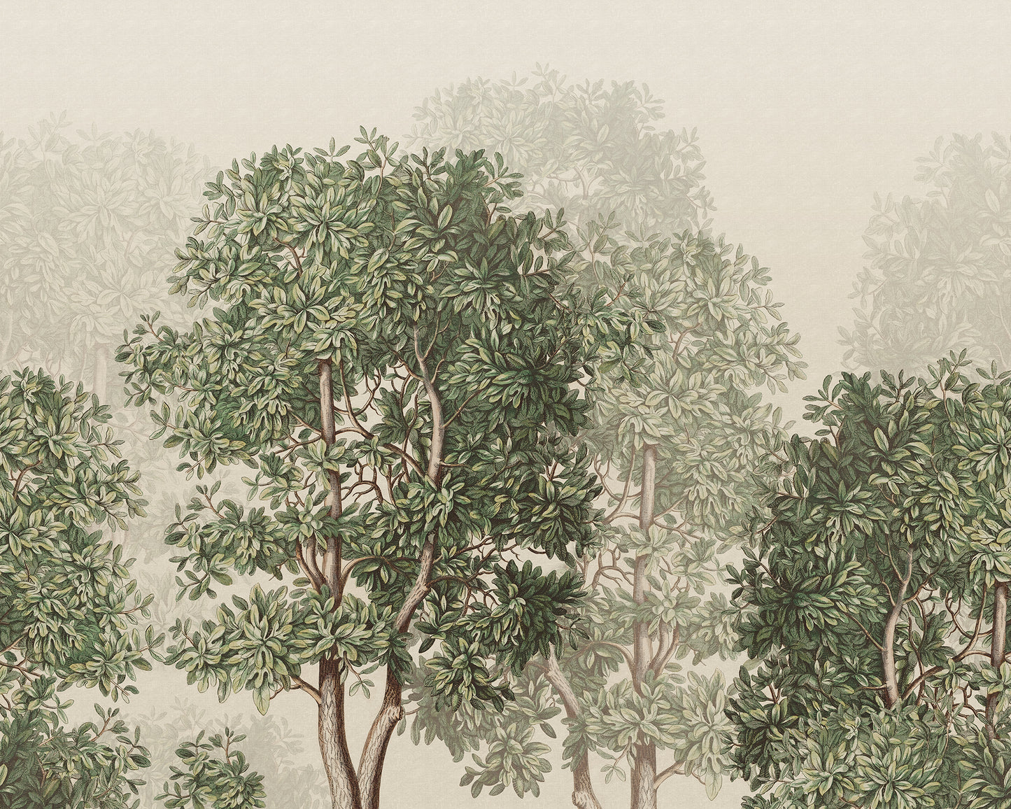 Dive into the enchanting embrace of the Charles Mural, where Georg Ehret's exquisite trees from the 1700s come alive. 