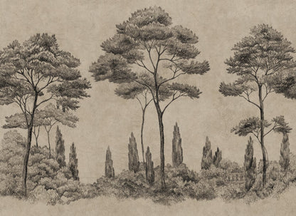 Discover the timeless charm of the Andrea mural in graphite. This hand-drawn mural transports you to Italian gardens with lush conifers and cypress trees. The historical style adds depth and sophistication, enriching your space with an elegant, etched look.