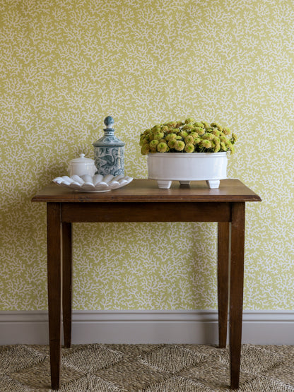 Coral Dusky Lemon - 39-57