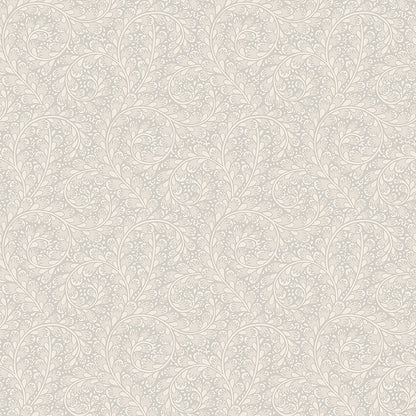 Wild Ferns - 2255