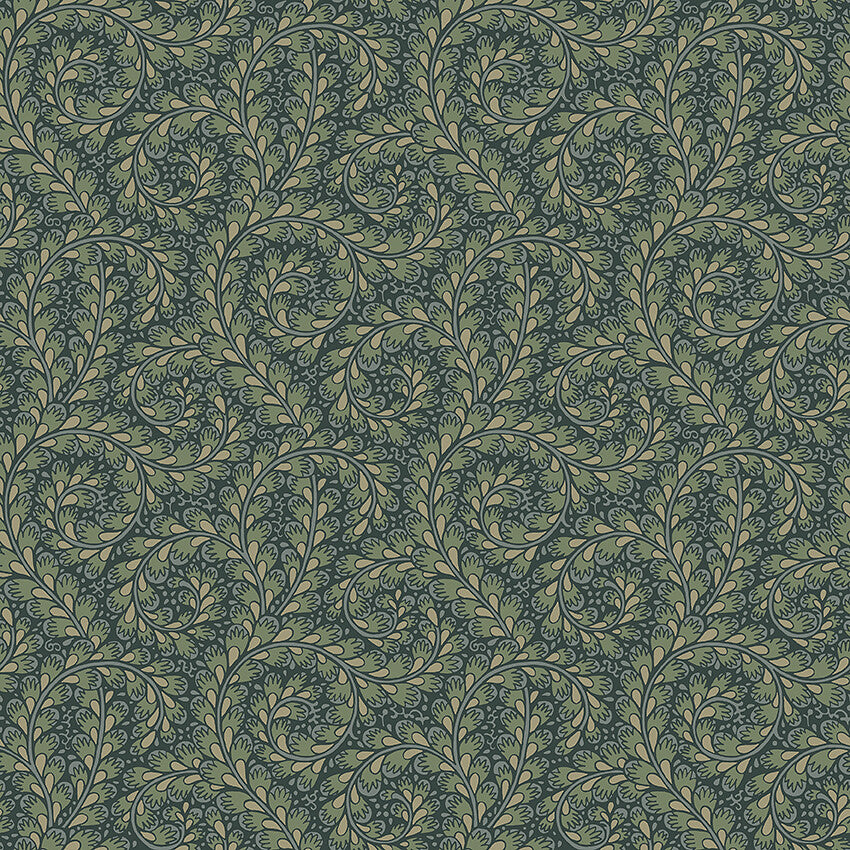 Wild Ferns - 2258