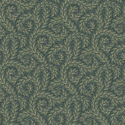 Wild Ferns - 2258