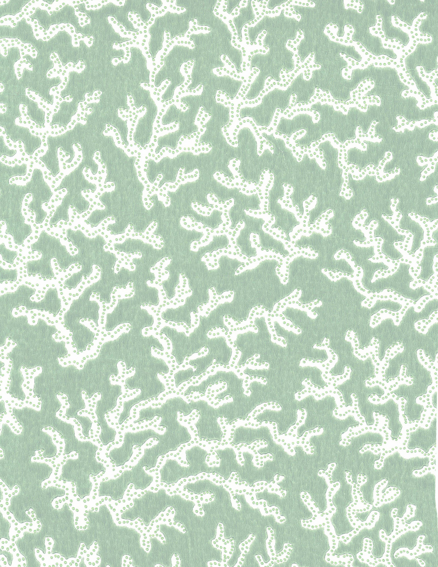 Coral Aqua - 39-55