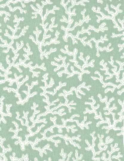 Coral Aqua - 39-55