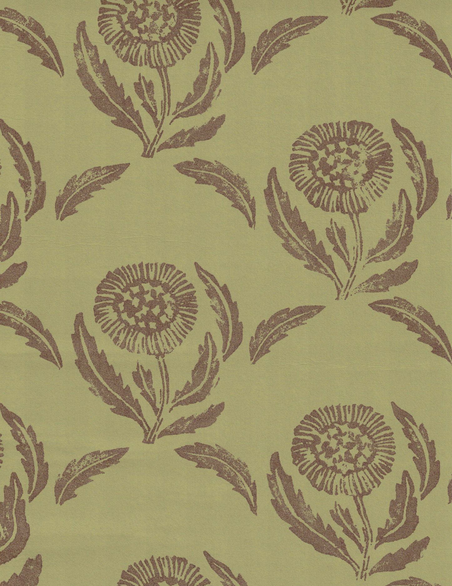 Daisy Arbour Green - 36-75