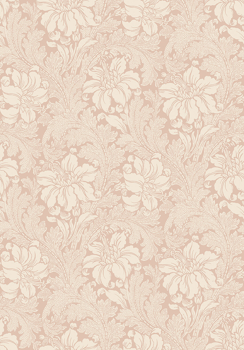 Acanthus - 2009