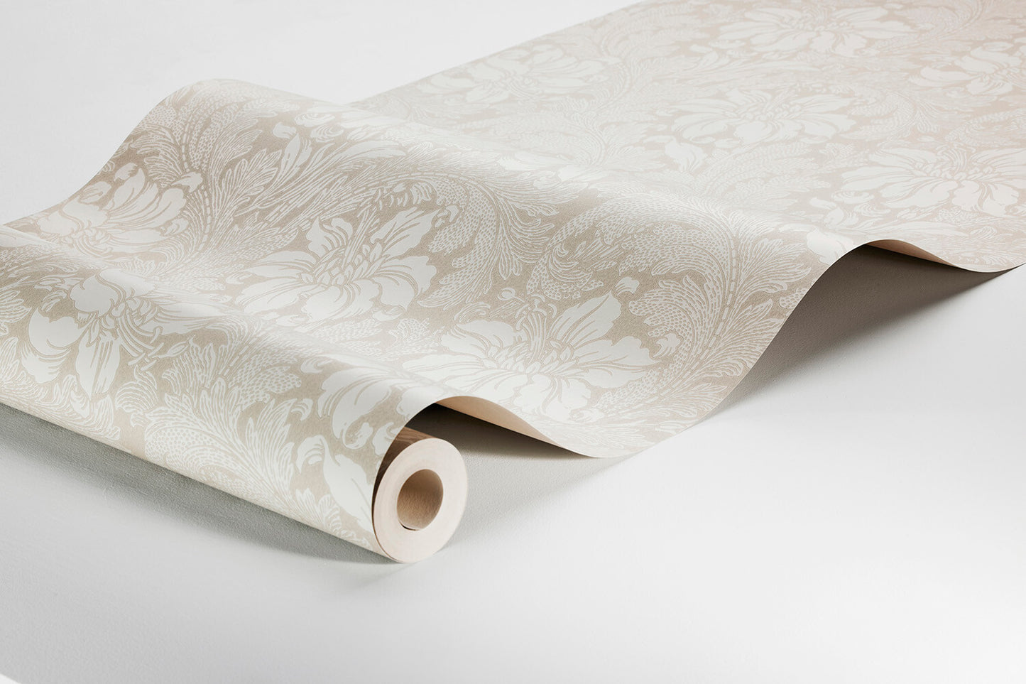 Acanthus - 2011