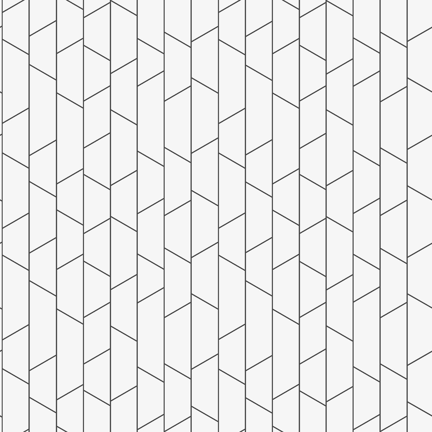 The bold simplicity of our Angle wallpaper in a black and white palette is inspired by the everyday lines seen around us, such as railings, facades, masts, and power lines.