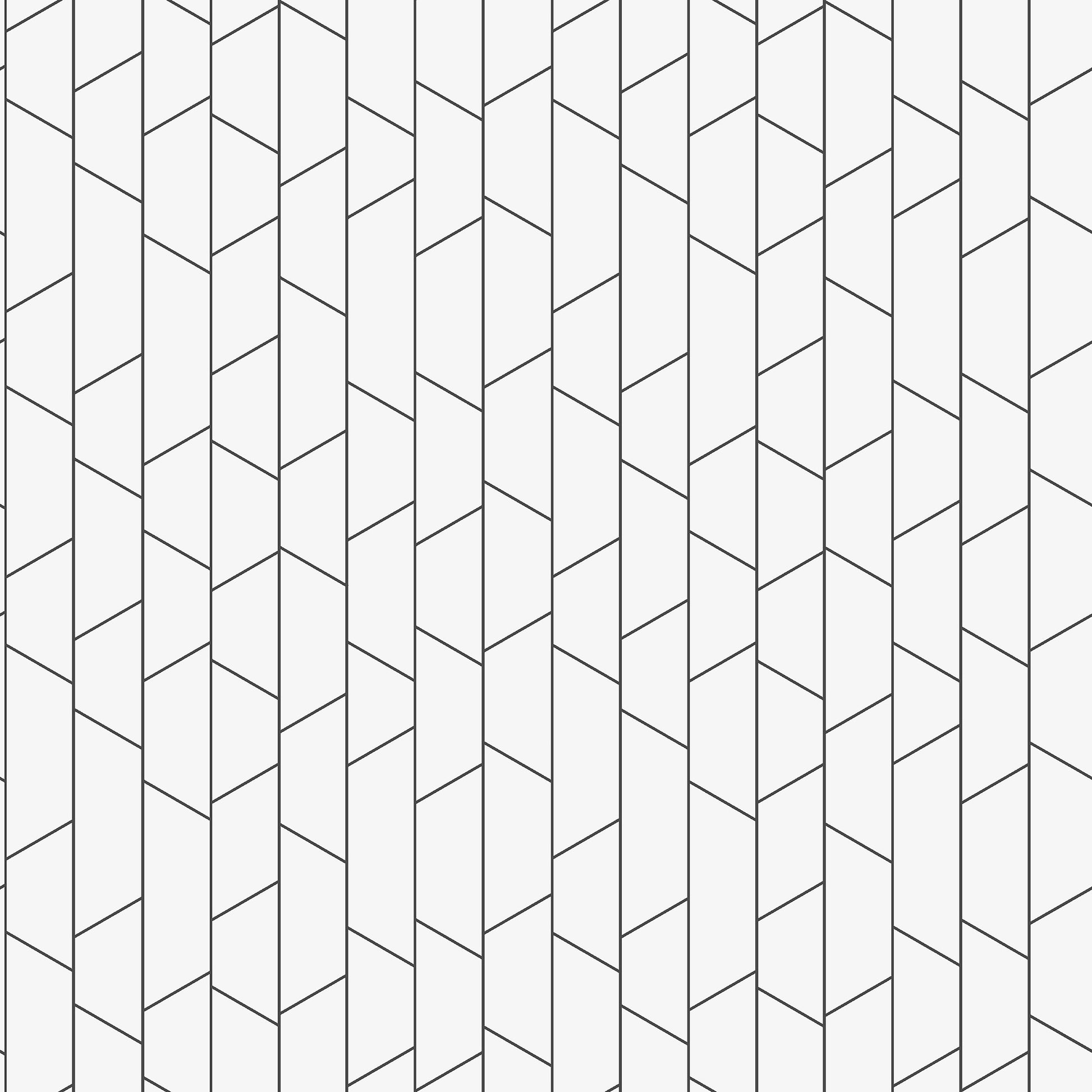 The bold simplicity of our Angle wallpaper in a black and white palette is inspired by the everyday lines seen around us, such as railings, facades, masts, and power lines.