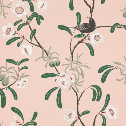 Antonia  Pink - 104-24