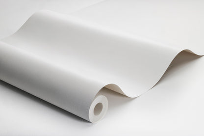 Birch White - 4302