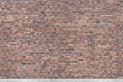 Brick Wall - 9410W Mural