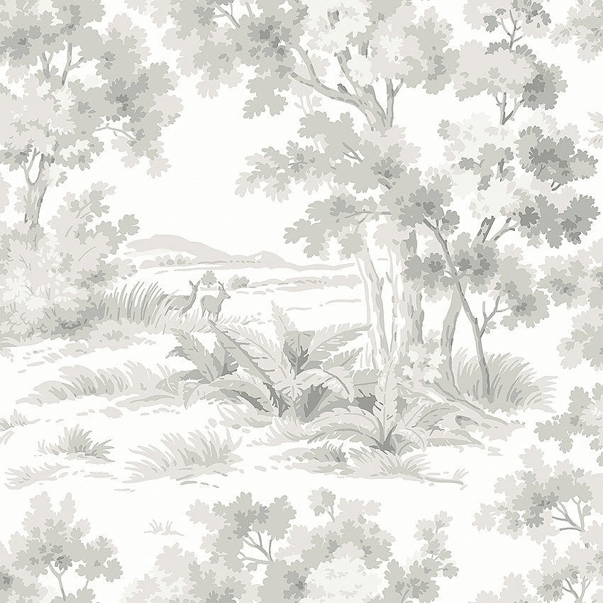 Countryside Morning - 7677
