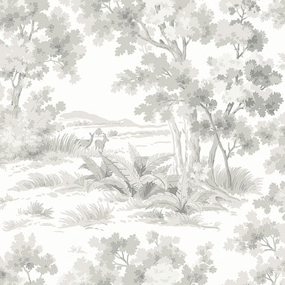 Countryside Morning - 7677