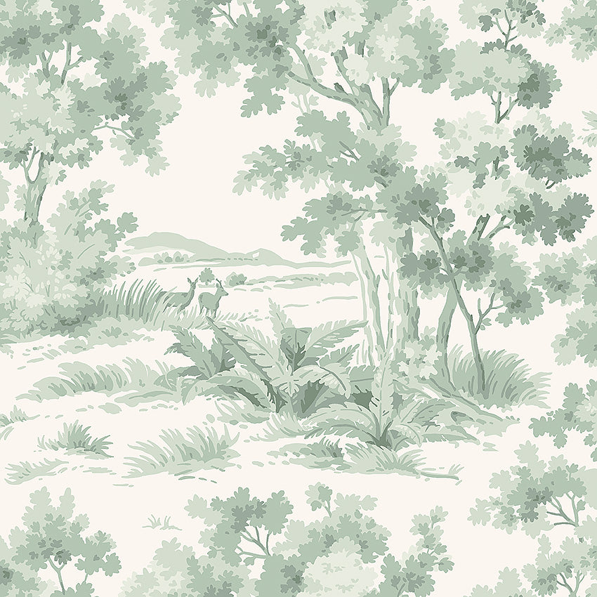 Countryside Morning - 7678