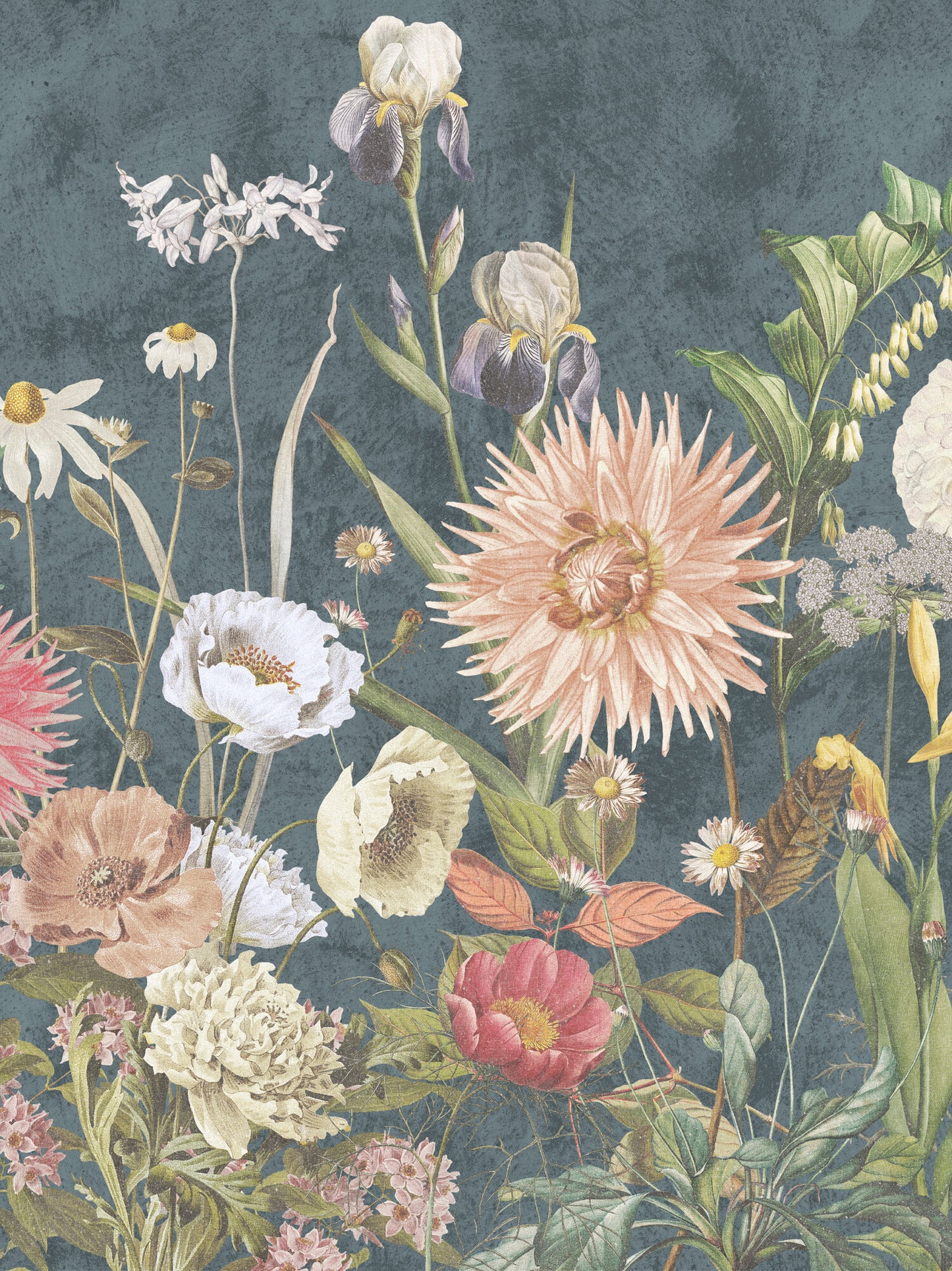 Dahlia - 9417W