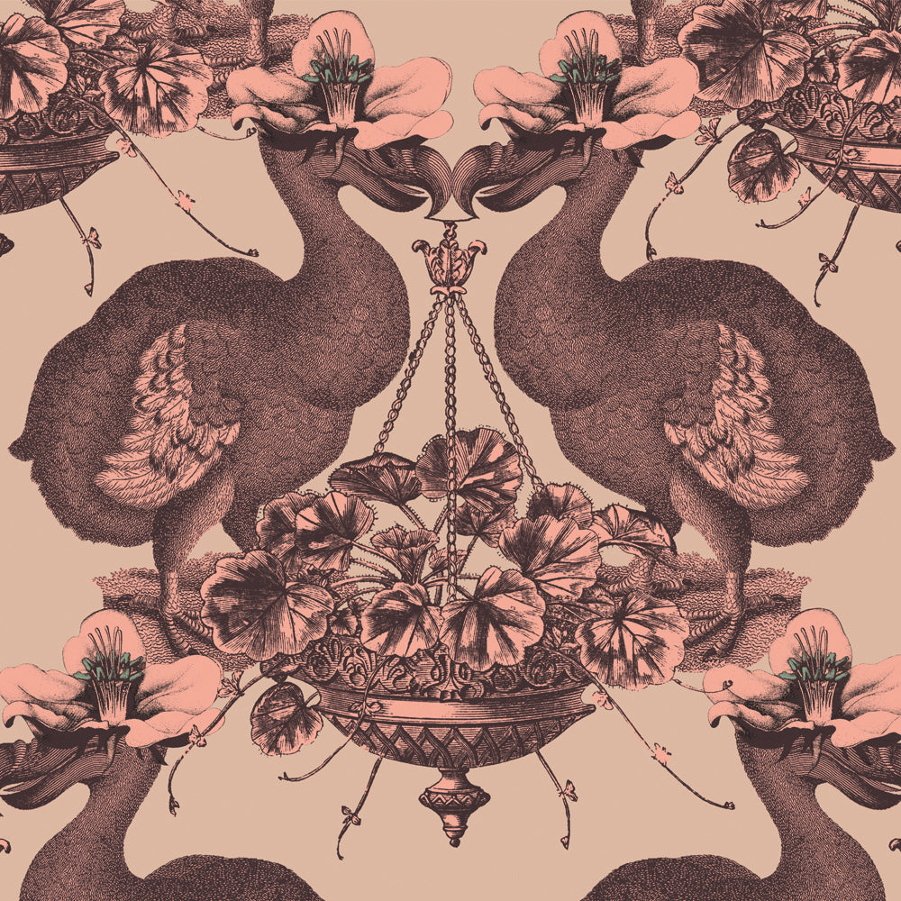 Dodo - 1419