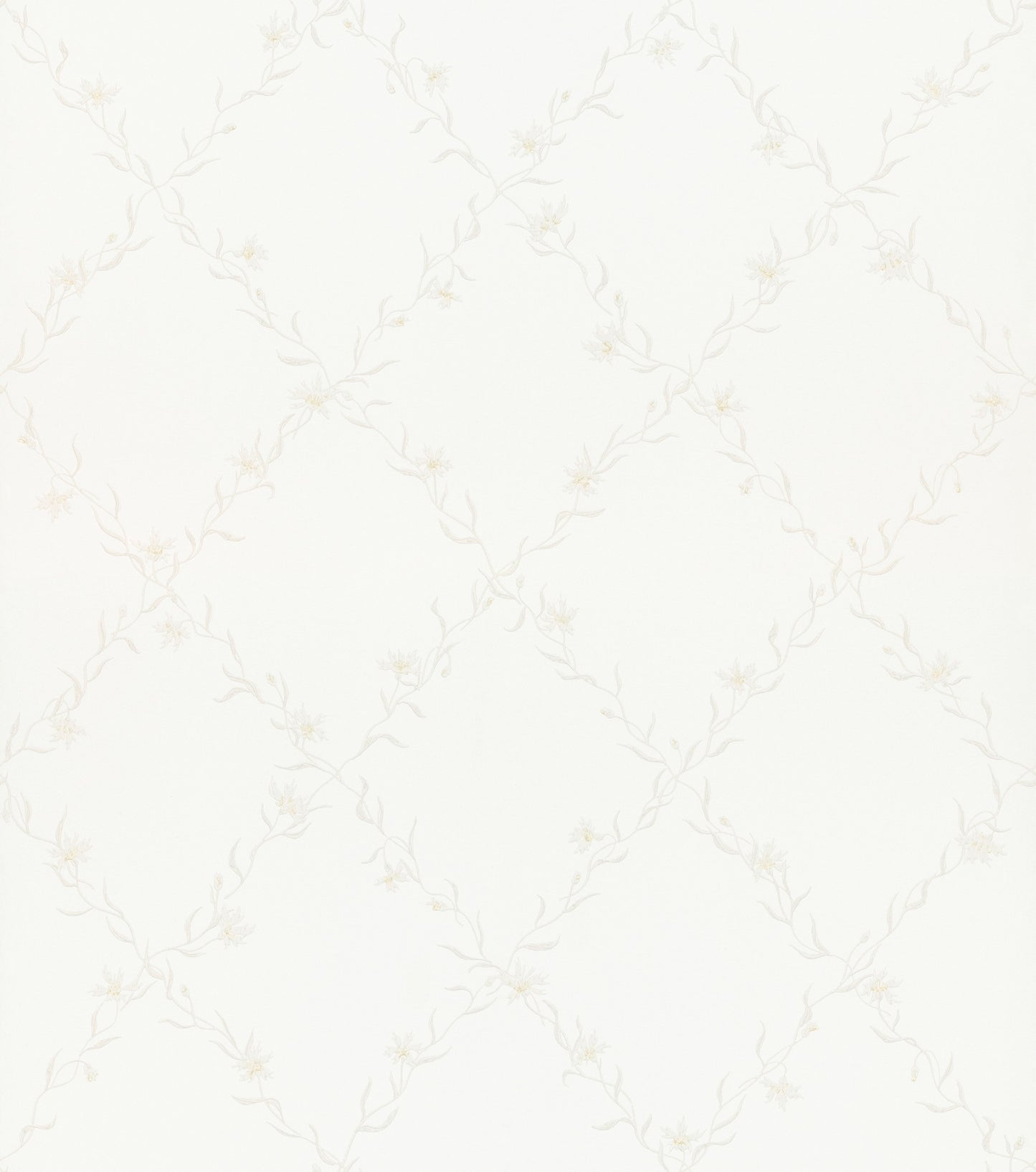 Ewa White - 806-11