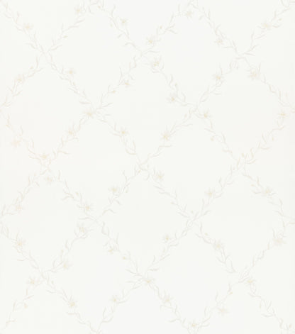 Ewa White - 806-11