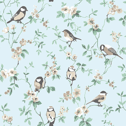 Falsterbo Birds - 7681