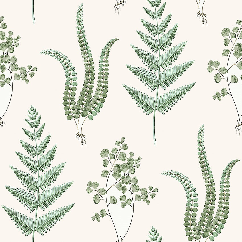 Herba - 7657