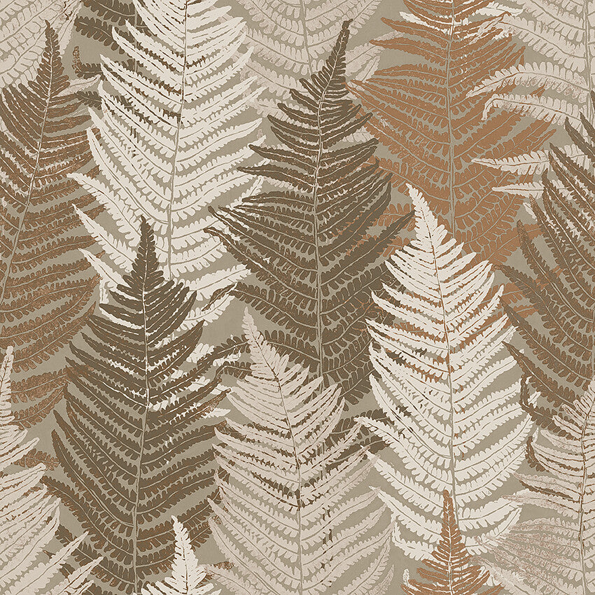Fern Forest - 4707