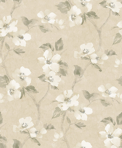 Helen's Flower - 3584