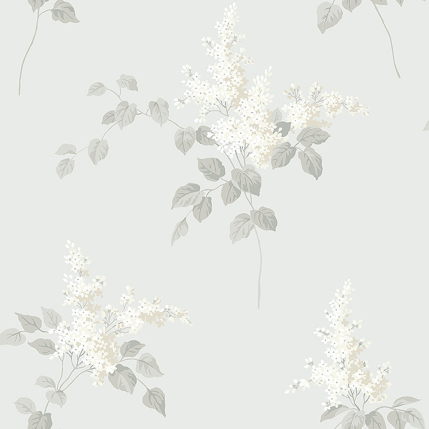 Lilacs - 7669