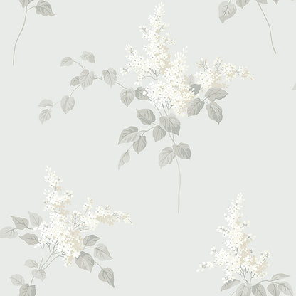 Lilacs - 7669