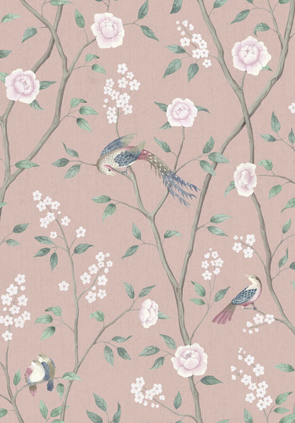 Paradise Birds - 1901