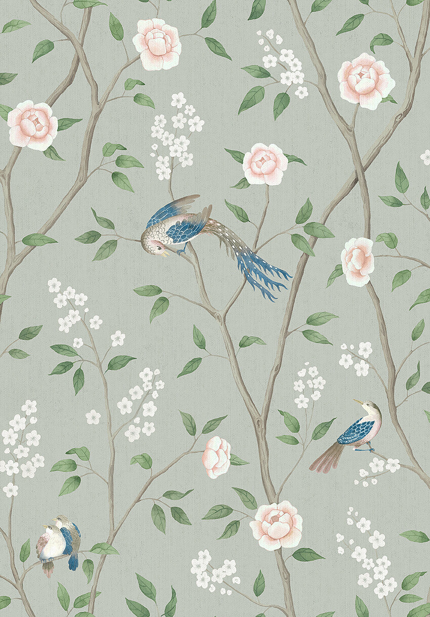 Paradise Birds - 1903
